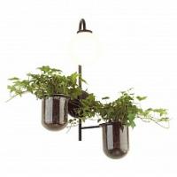 Бра Odeon Light Flower 4681/1W фото Бра Odeon Light Flower 4681/1W