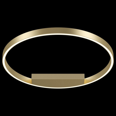 Накладной светильник Maytoni Rim MOD058CL-L35BS4K. Фото №2