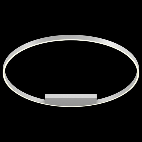 Накладной светильник Maytoni Rim MOD058CL-L65W4K. Фото №2