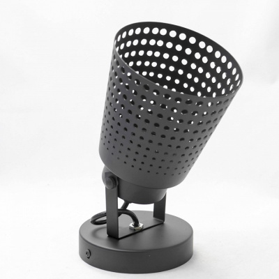 Спот Lussole Erie LSP-9834. Фото №2