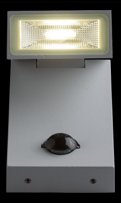 Светильник на штанге MW-Light Меркурий 2 807021601. Фото