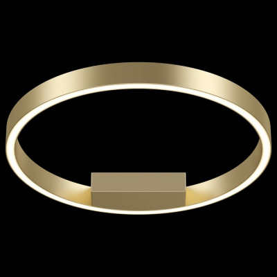 Накладной светильник Maytoni Rim MOD058CL-L25BS4K. Фото №2