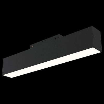 Накладной светильник Maytoni BASIS TR012-2-12W3K-B. Фото №2