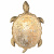 Накладной светильник Favourite Turtle 2254-1W фото Накладной светильник Favourite Turtle 2254-1W. Фото №1