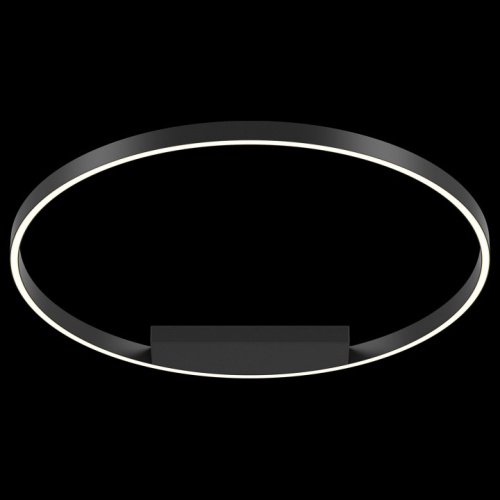 Накладной светильник Maytoni Rim MOD058CL-L50B4K. Фото №2