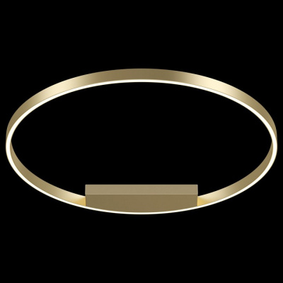 Накладной светильник Maytoni Rim MOD058CL-L50BS4K. Фото №2