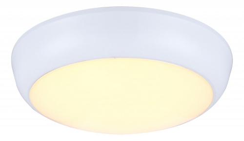 Накладной светильник Globo John 32116. Фото №1