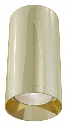 Накладной светильник Maytoni Focus C010CL-01G фото Накладной светильник Maytoni Focus C010CL-01G. Фото №1