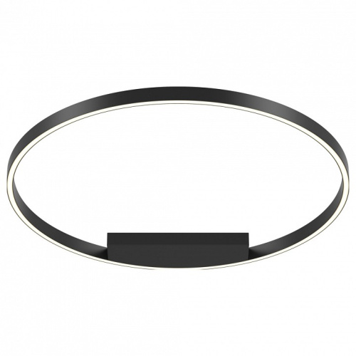 Накладной светильник Maytoni Rim MOD058CL-L50B4K. Фото №1