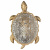 Накладной светильник Favourite Turtle 2254-1W фото Накладной светильник Favourite Turtle 2254-1W. Фото №2