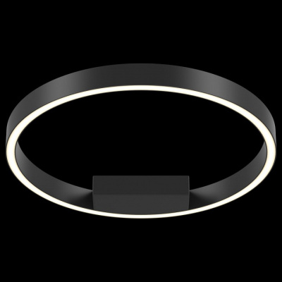 Накладной светильник Maytoni Rim MOD058CL-L25B4K. Фото №2