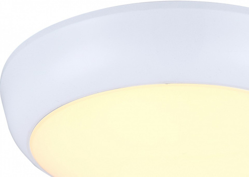 Накладной светильник Globo John 32116. Фото №2