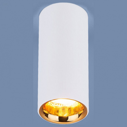 Накладной светильник Elektrostandard DLR030 a040669. Фото №1